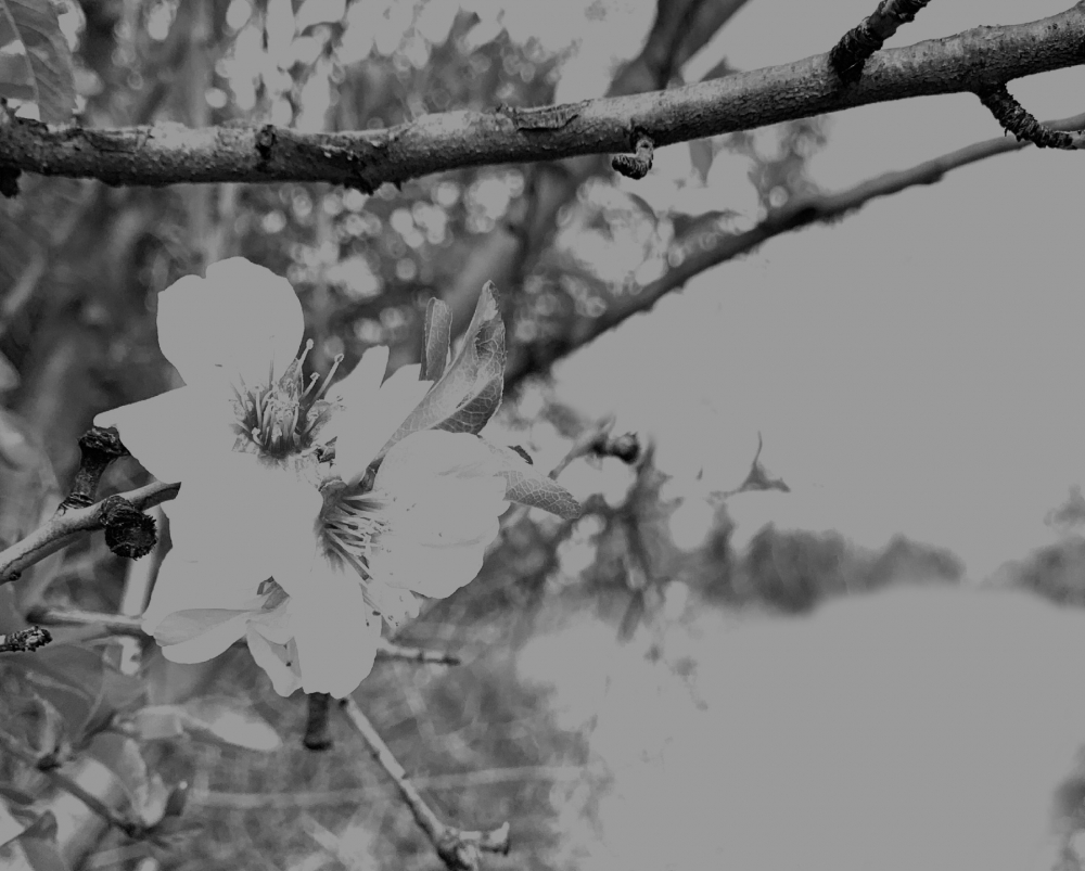 ΤΟΠΟΣ ΜΝΗΜΗΣ 